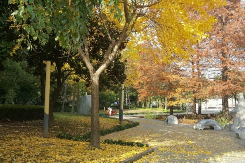 Wanli City Center Park 